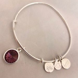 Alex and Ani Amethyst Birthstone Bracelet